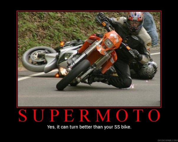 Motard 3.jpg