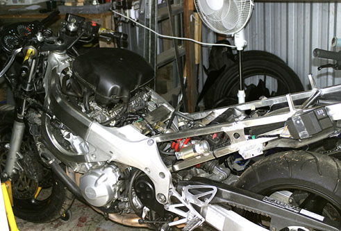 stripped.jpg