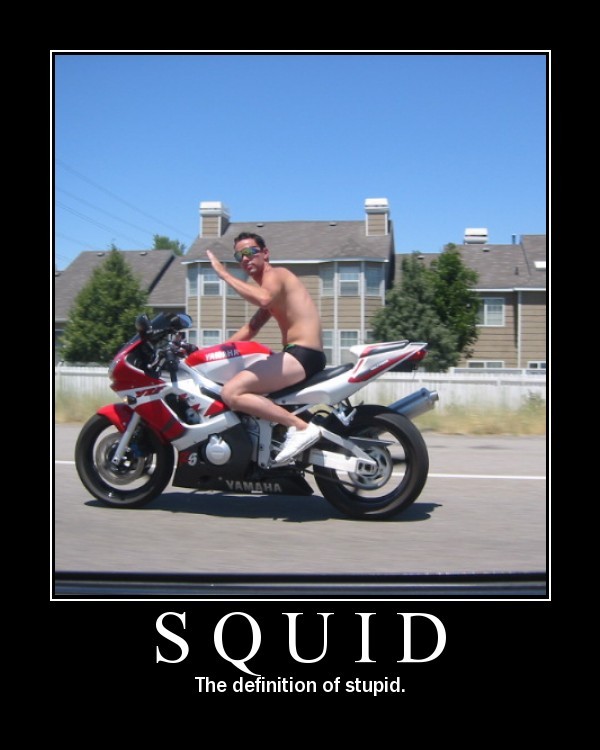 stupid.jpg