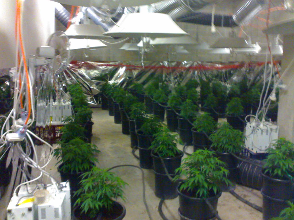 25062008126.jpg