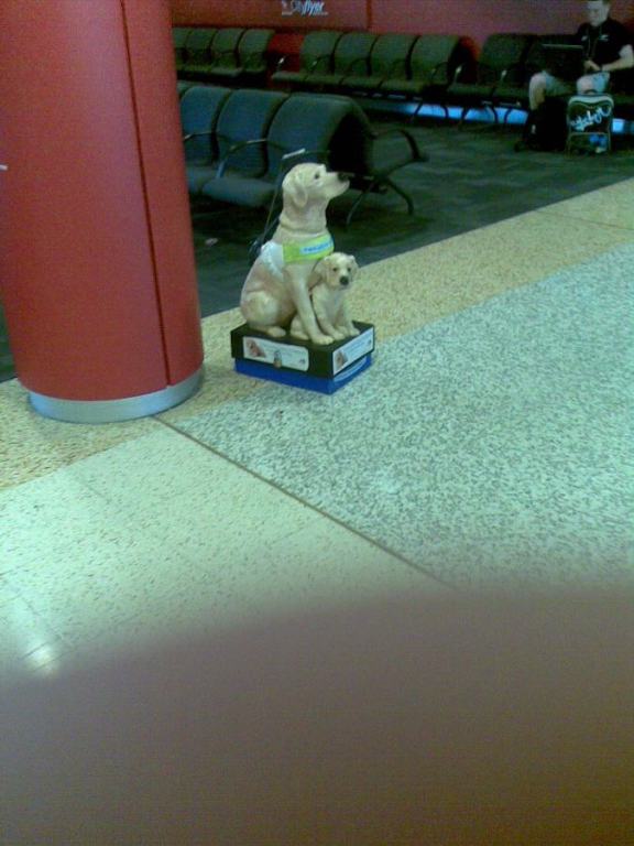 dogshumping.jpg