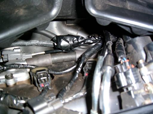 PIC_0004.JPG