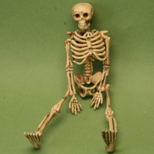 skeleton.jpg