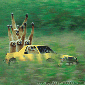 Monkey Truck.gif