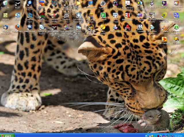 mydesktop.jpg