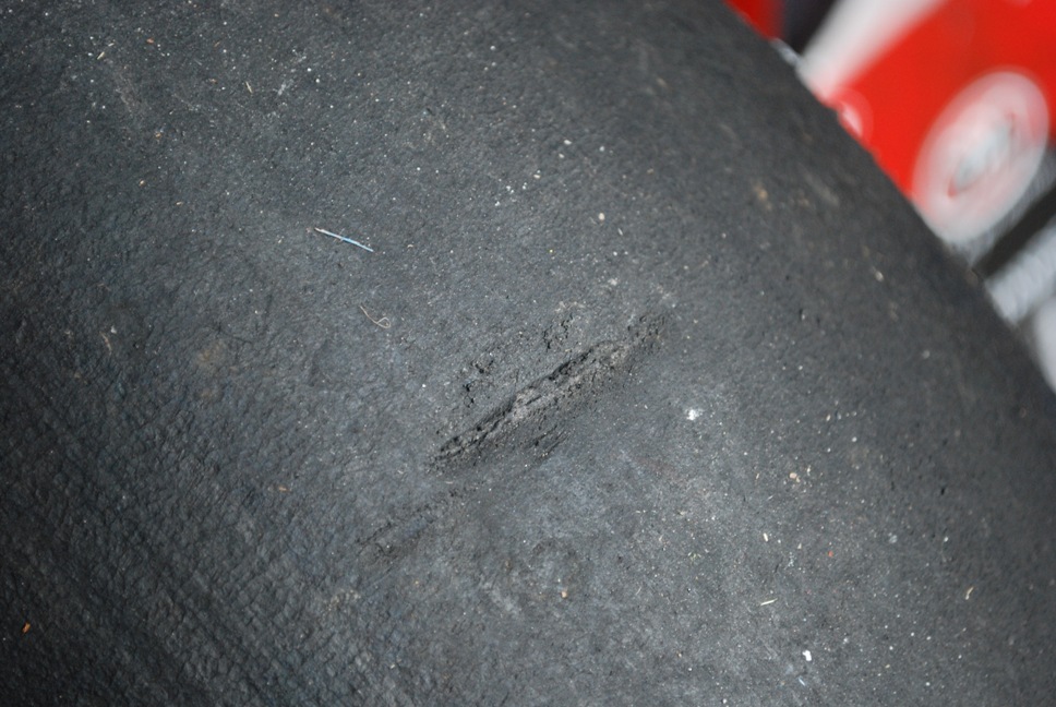 DSC_0595.JPG