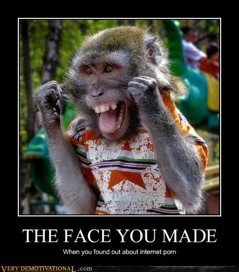 monkey.jpg