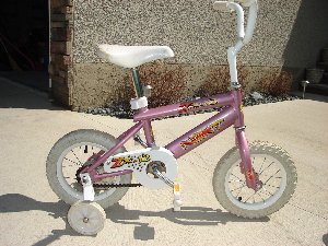 New Zx12.jpg