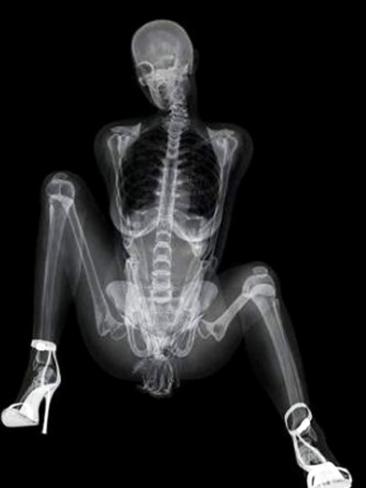 388046-skeleton-calendar.jpg