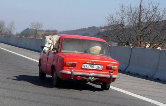 ATT00001.jpgc.jpg