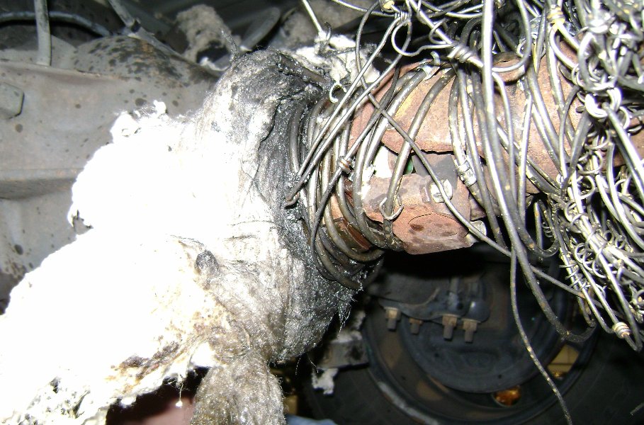 ATT1681589.jpg