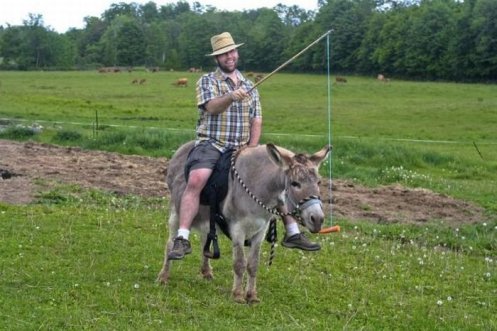 donkey-man.jpg