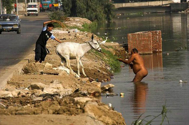 donkeybath.jpg