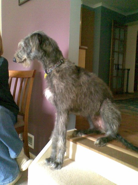 10042009.jpg