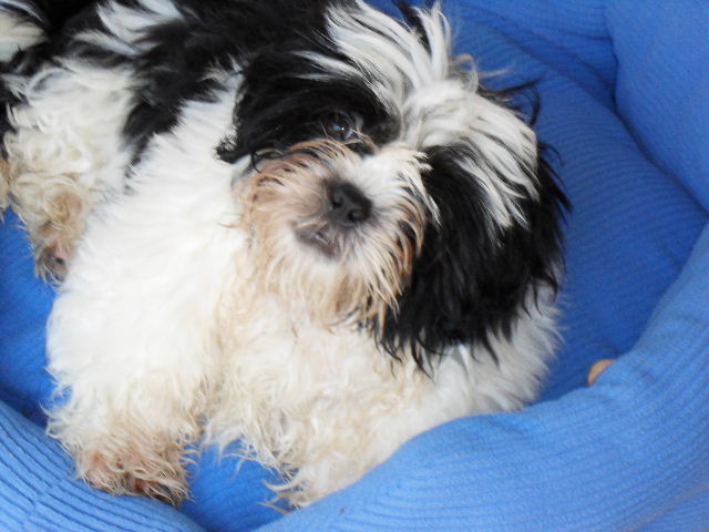 2011_0220bed0028.JPG