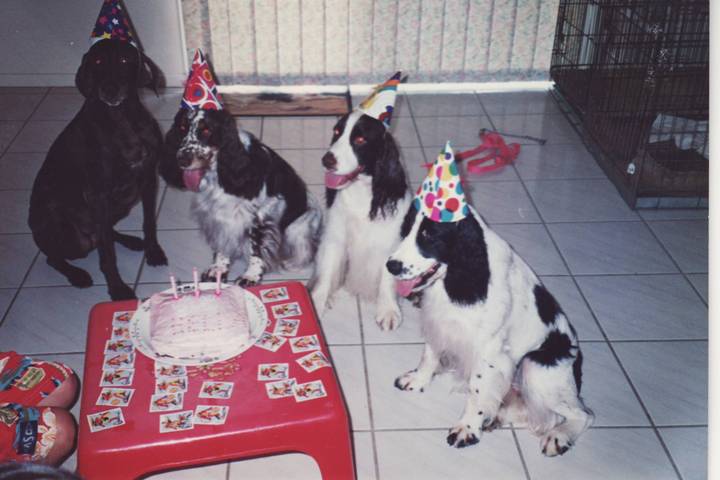 Party Animals B.JPG