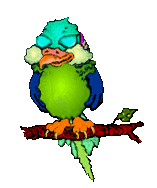 Parrot1.gif