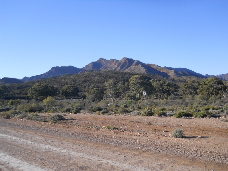 Flinders Ranges SA 1.jpg
