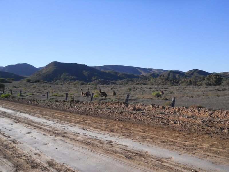 Flinders Ranges SA 4.jpg