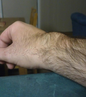 379993_10150520579068914_754923913_8806848_570917997_n.jpg