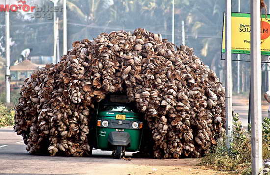 Slightly-overloaded.jpg