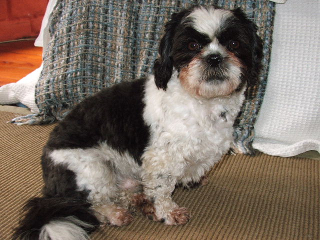 2004_0101baby0006.JPG