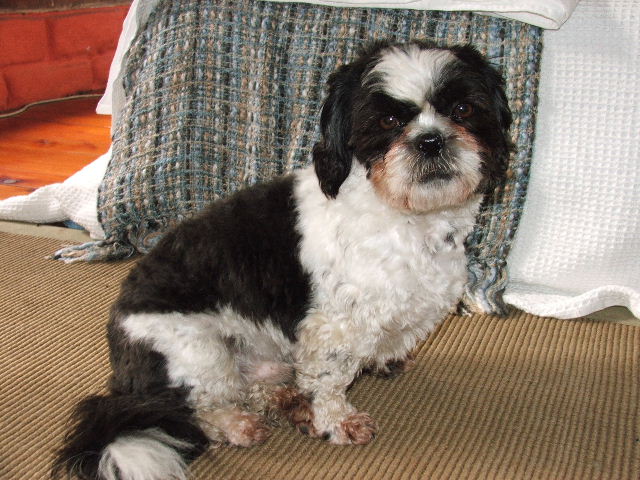 2004_0101baby0012.JPG