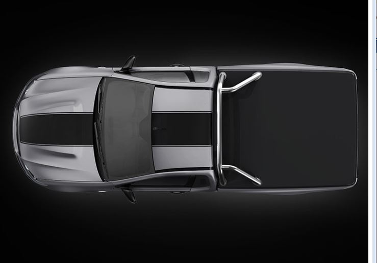 ute stripe kit.JPG
