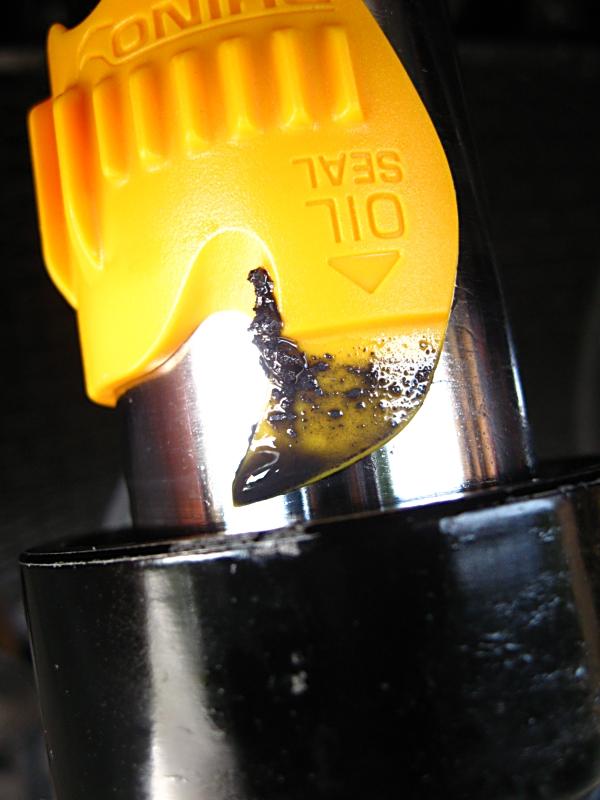 gpx750r_fork_rh_seal_cleaning.jpg