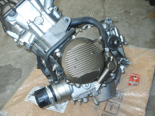 S2010413.JPG
