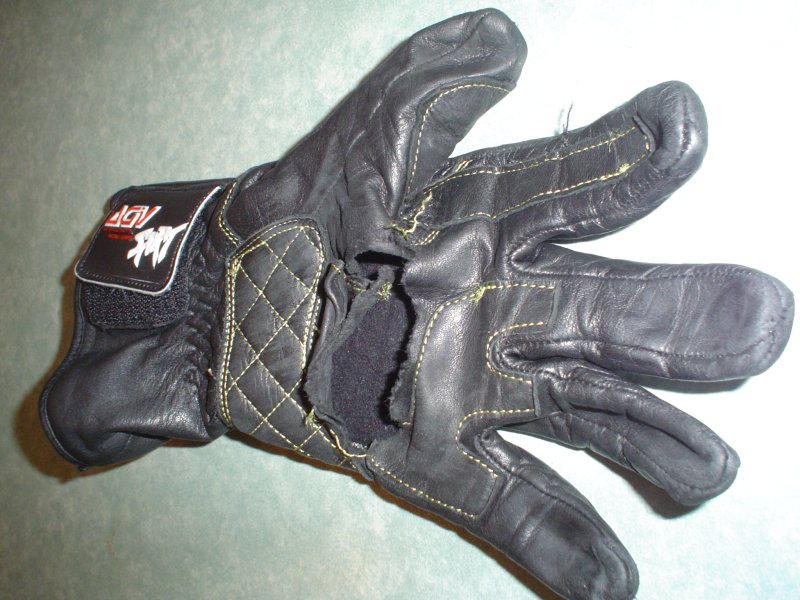 glove Dsc00985.jpg