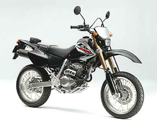 motard.jpg