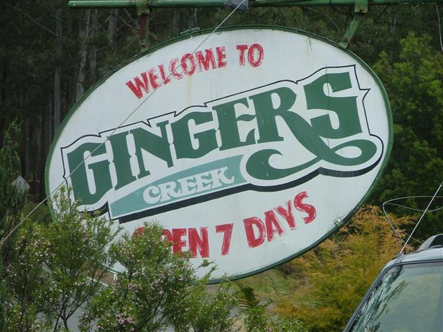 gingers.jpg