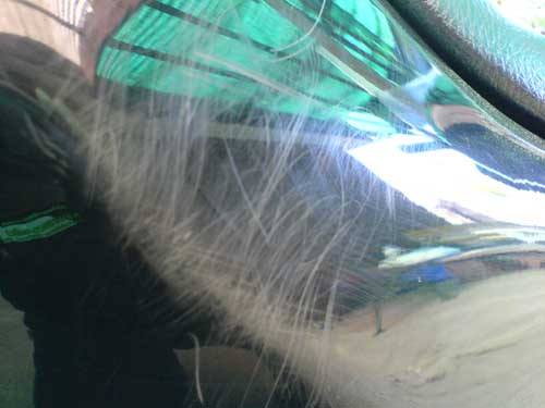Ducttail.jpg