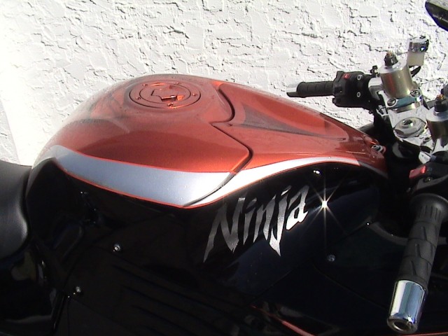 DSC00271.jpg
