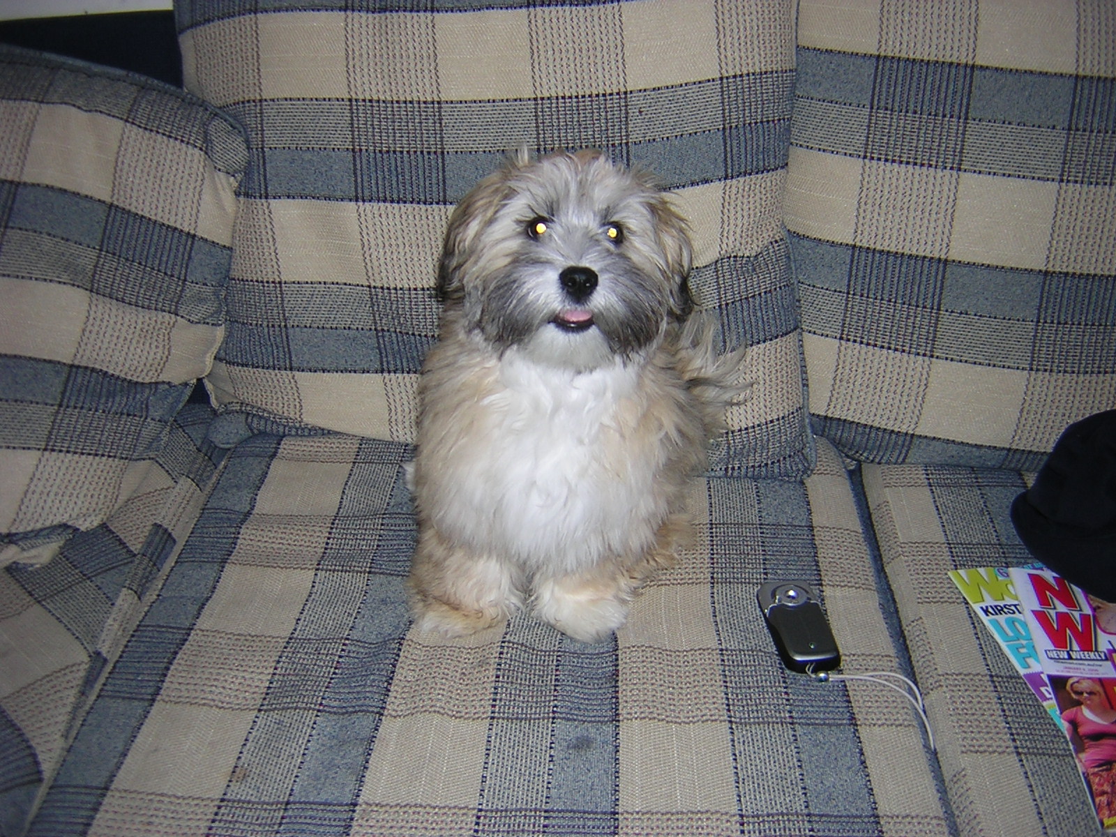 DSCN12191.JPG