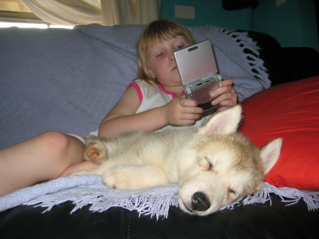 koda 005.jpg