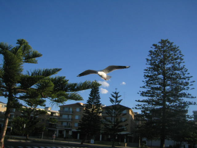 Picture 004.jpg