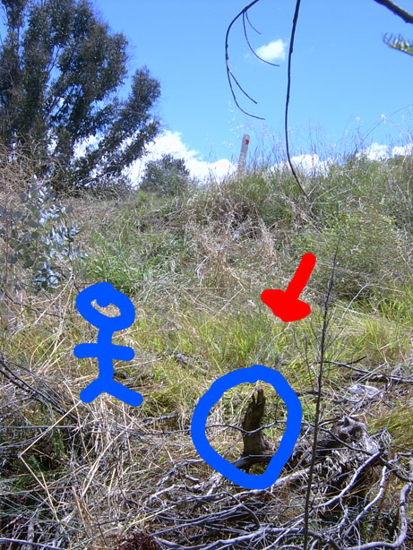 SV300899_1.jpg