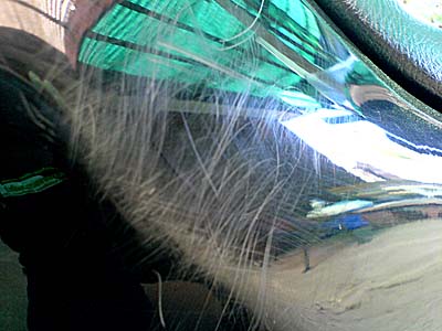 Scratches on Ducktail from first drop - that's to TCut it polished out