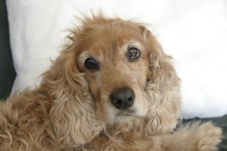 A better photo for you Strika, Ralph always gets the attention  :!: