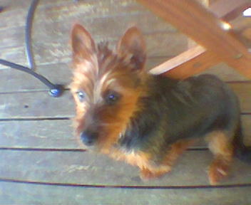 Bonnie as a baby