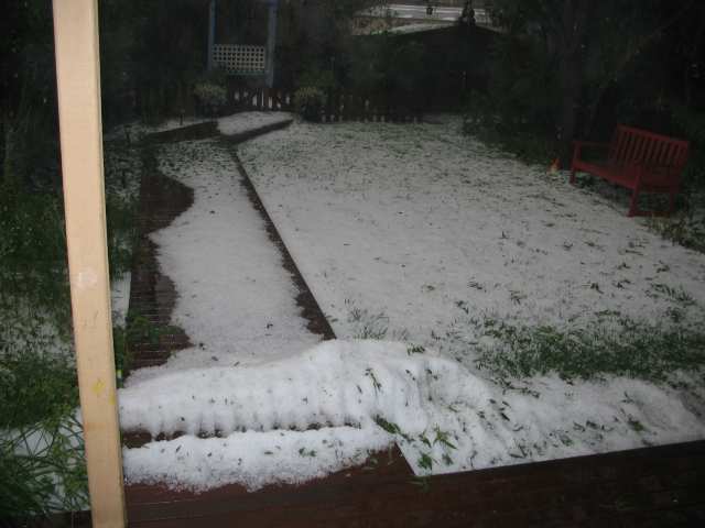 For those of you who remember where the tree dropped last year...