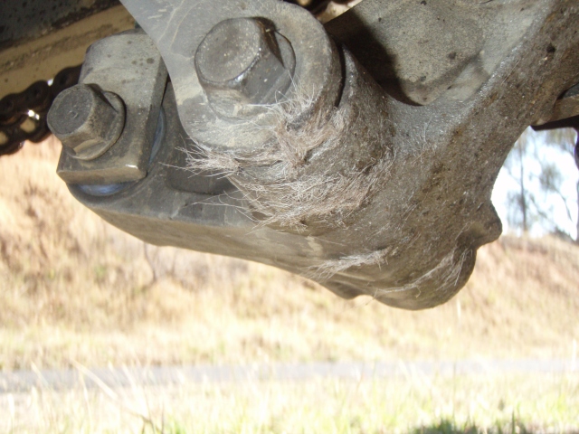 Some of the evidence of skippy...it was on both tyres as well
