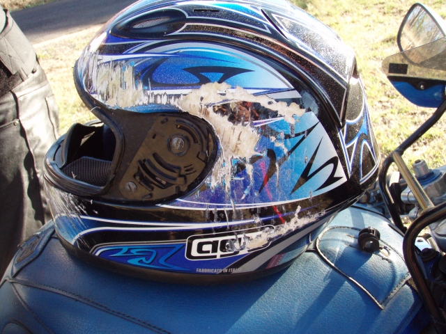 8HelmetSide.jpg