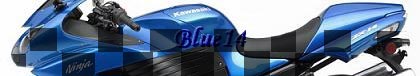 zx14sig.jpg