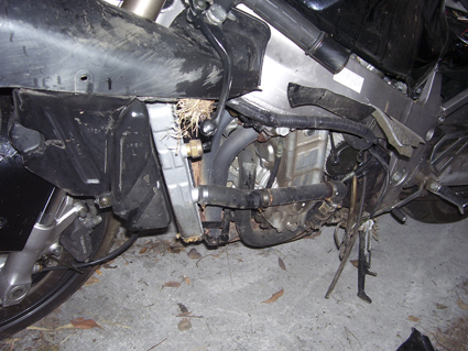 A few leaks here, and a floppy clutch