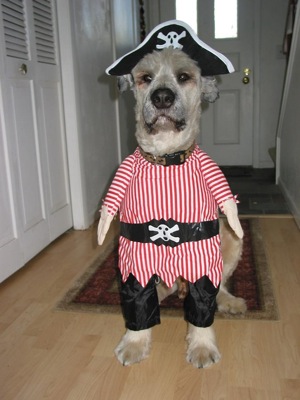 Jack Sparrow.jpg