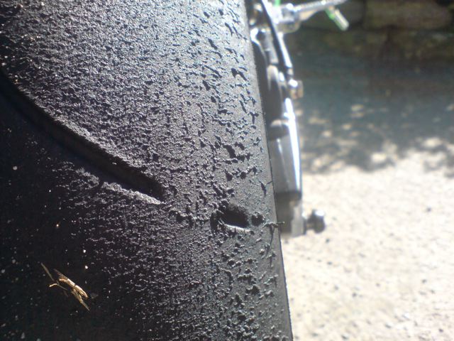 DSC00133.jpg