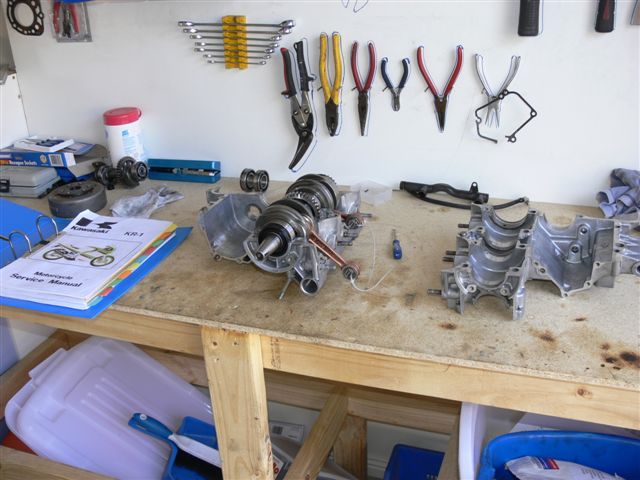 P1060761.JPG